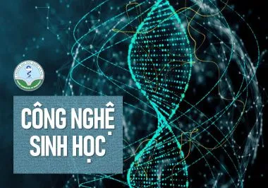 Chương trình Trang Chủ 77Win.com ngành Công nghệ sinh học